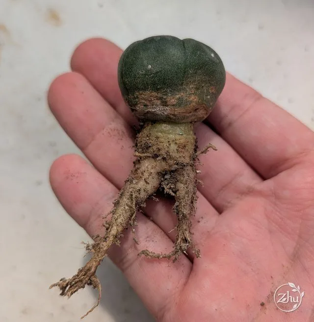 看著很有趣的照片